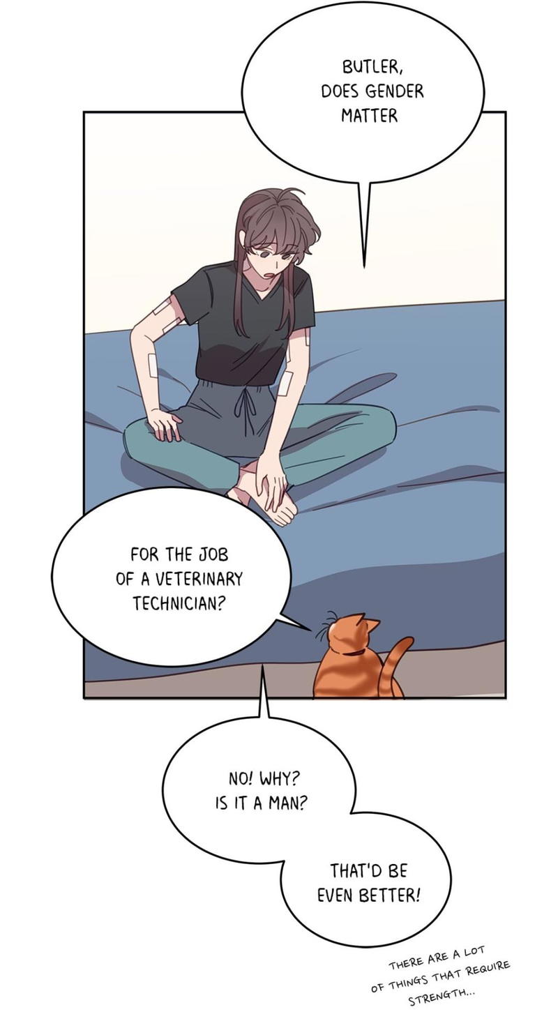 An animal hospital in the border area chapter 8 - page 43