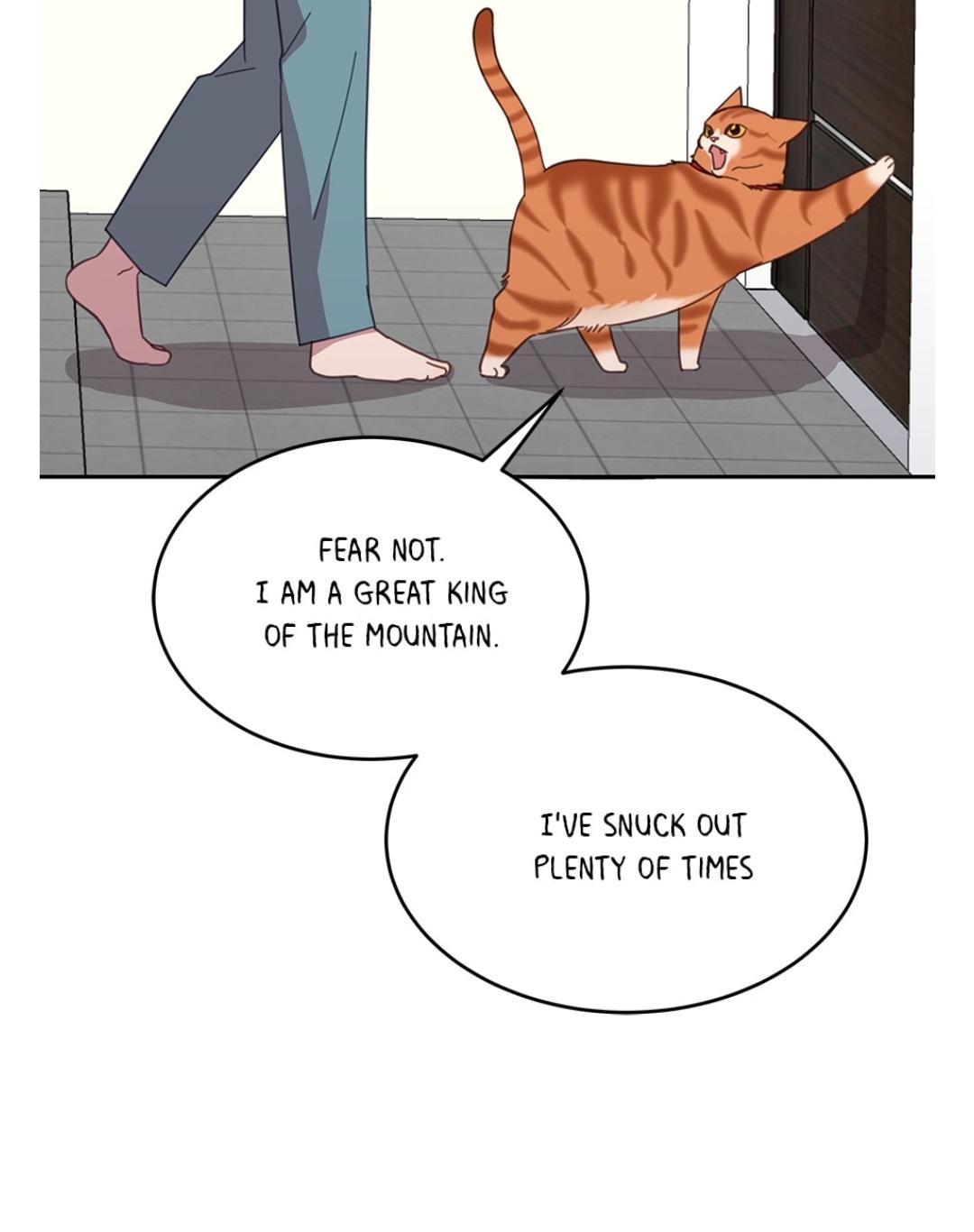 An animal hospital in the border area chapter 8 - page 45