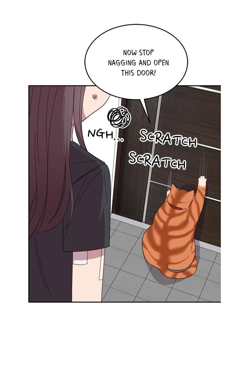 An animal hospital in the border area chapter 8 - page 46
