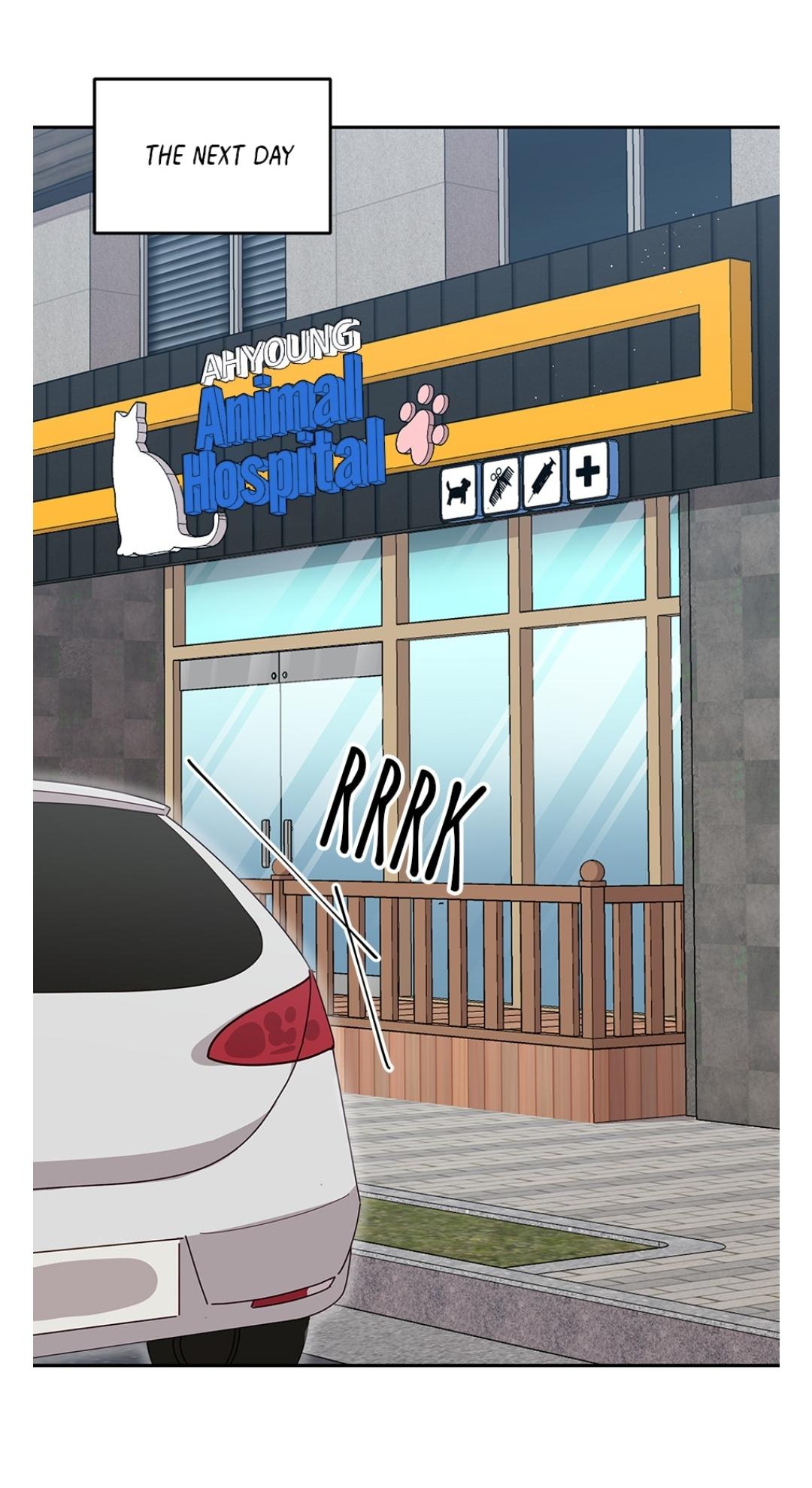 An animal hospital in the border area chapter 8 - page 49