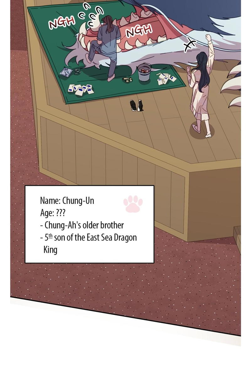 An animal hospital in the border area chapter 8 - page 5