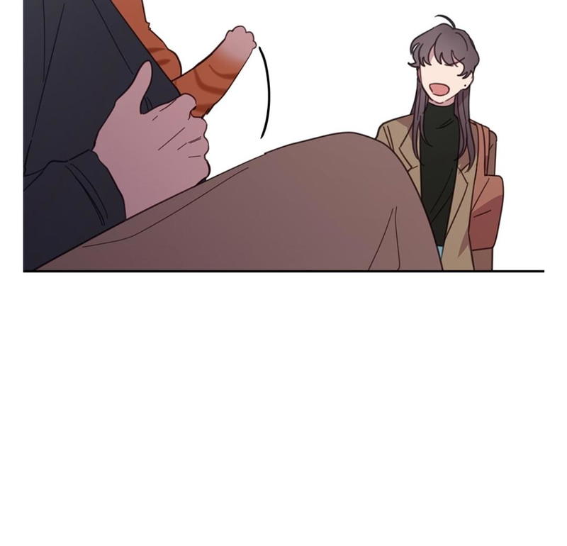 An animal hospital in the border area chapter 8 - page 53