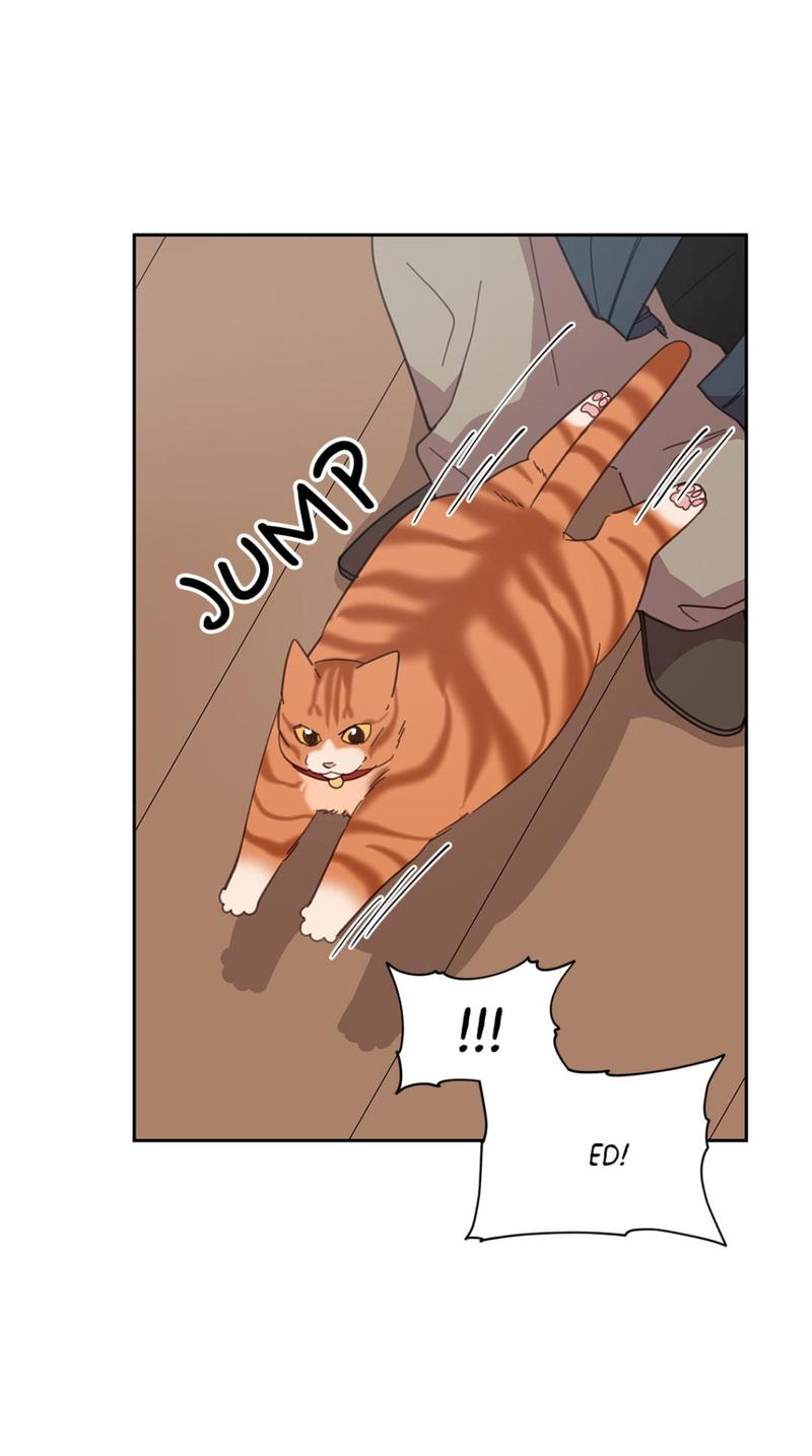 An animal hospital in the border area chapter 8 - page 54