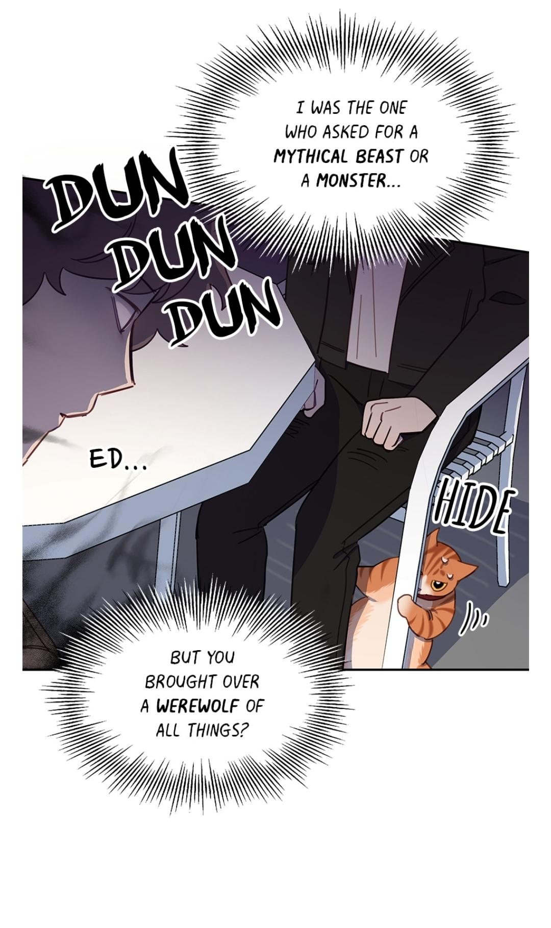 An animal hospital in the border area chapter 10 - page 11