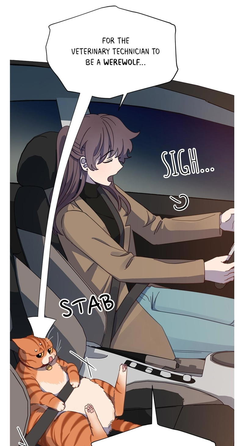 An animal hospital in the border area chapter 10 - page 28