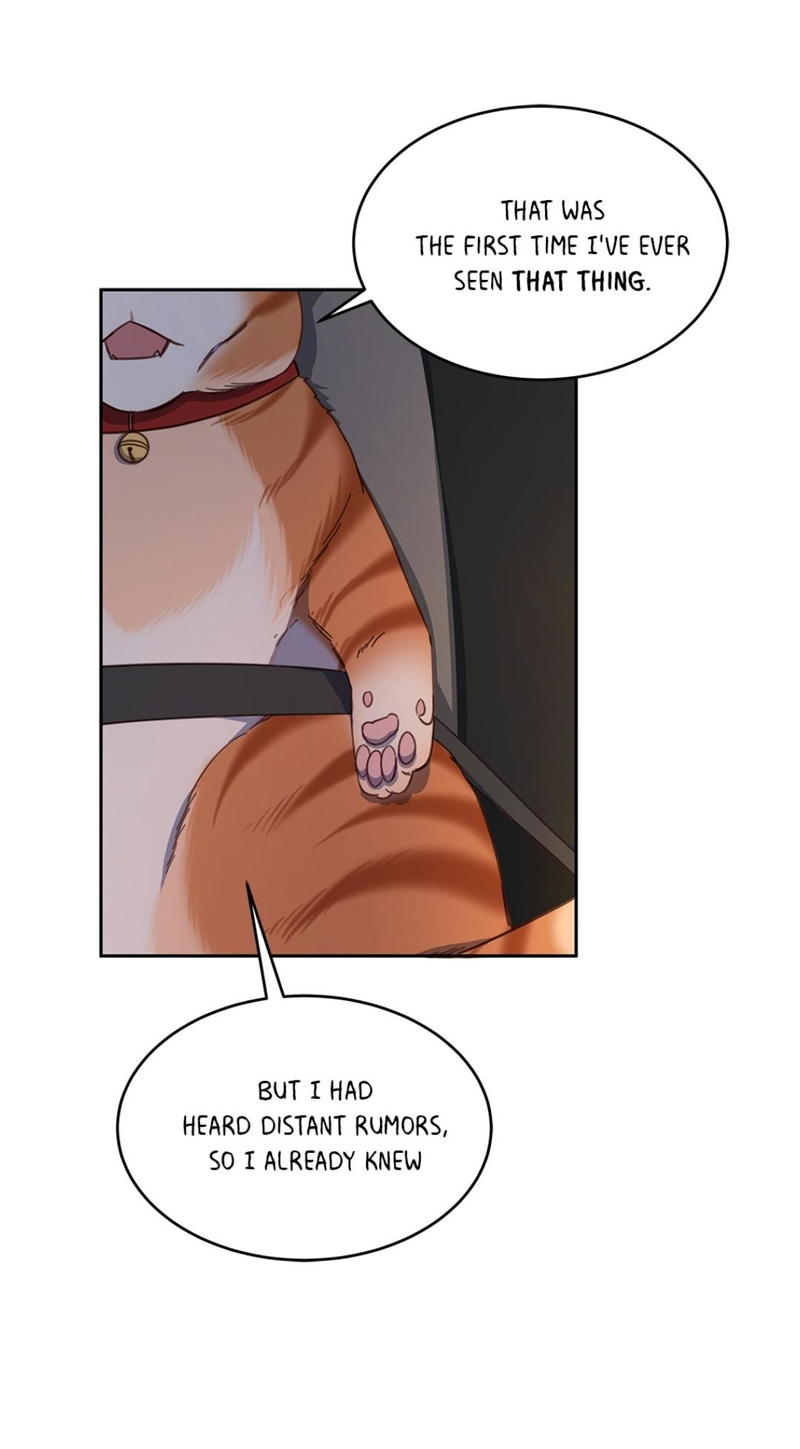 An animal hospital in the border area chapter 10 - page 44