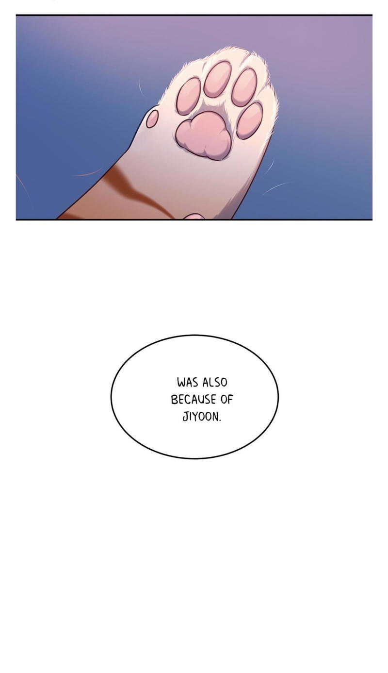 An animal hospital in the border area chapter 10 - page 55
