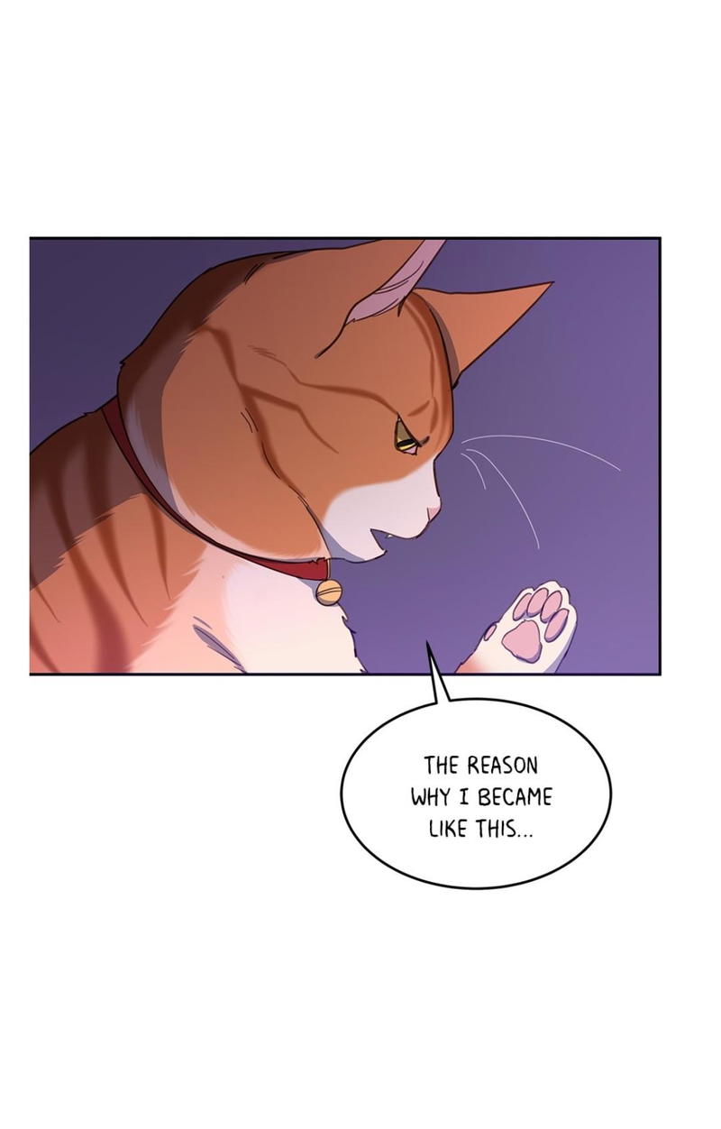 An animal hospital in the border area chapter 11 - page 1