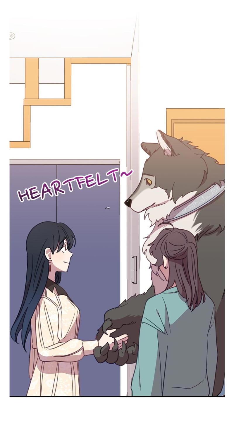 An animal hospital in the border area chapter 14 - page 51