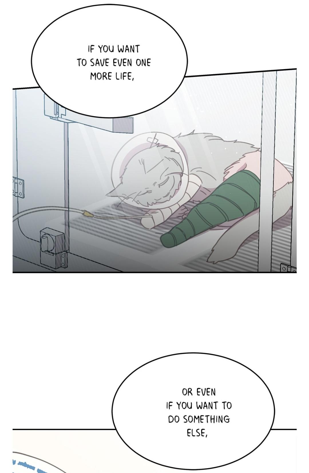 An animal hospital in the border area chapter 15 - page 24