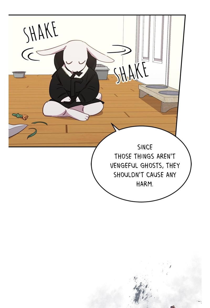 An animal hospital in the border area chapter 16 - page 33