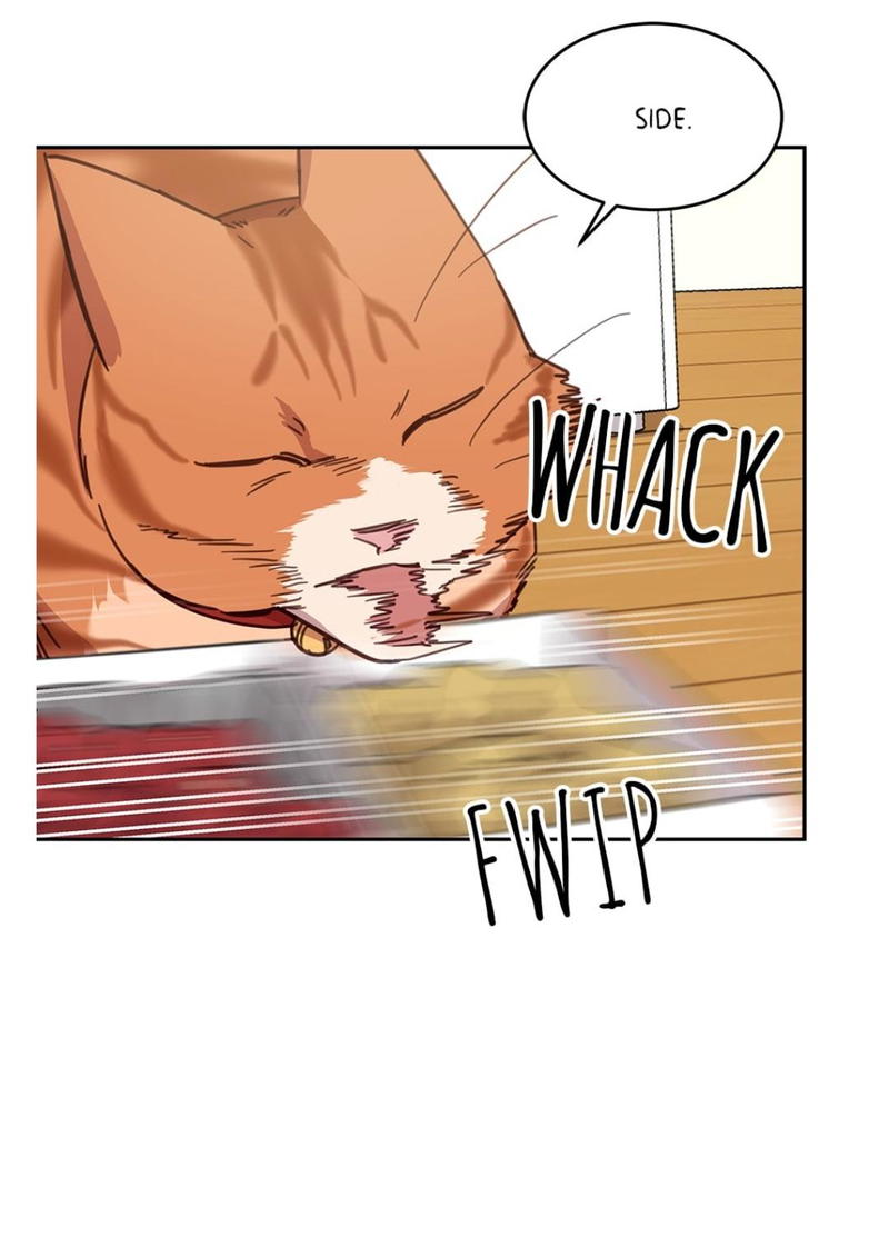 An animal hospital in the border area chapter 16 - page 56