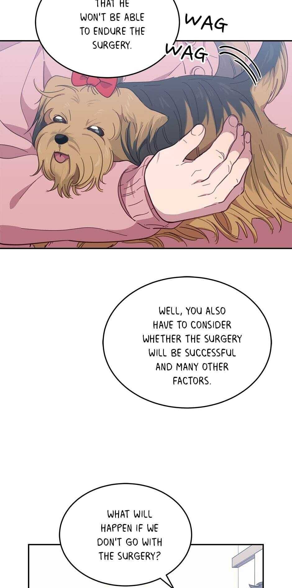 An animal hospital in the border area chapter 19 - page 43
