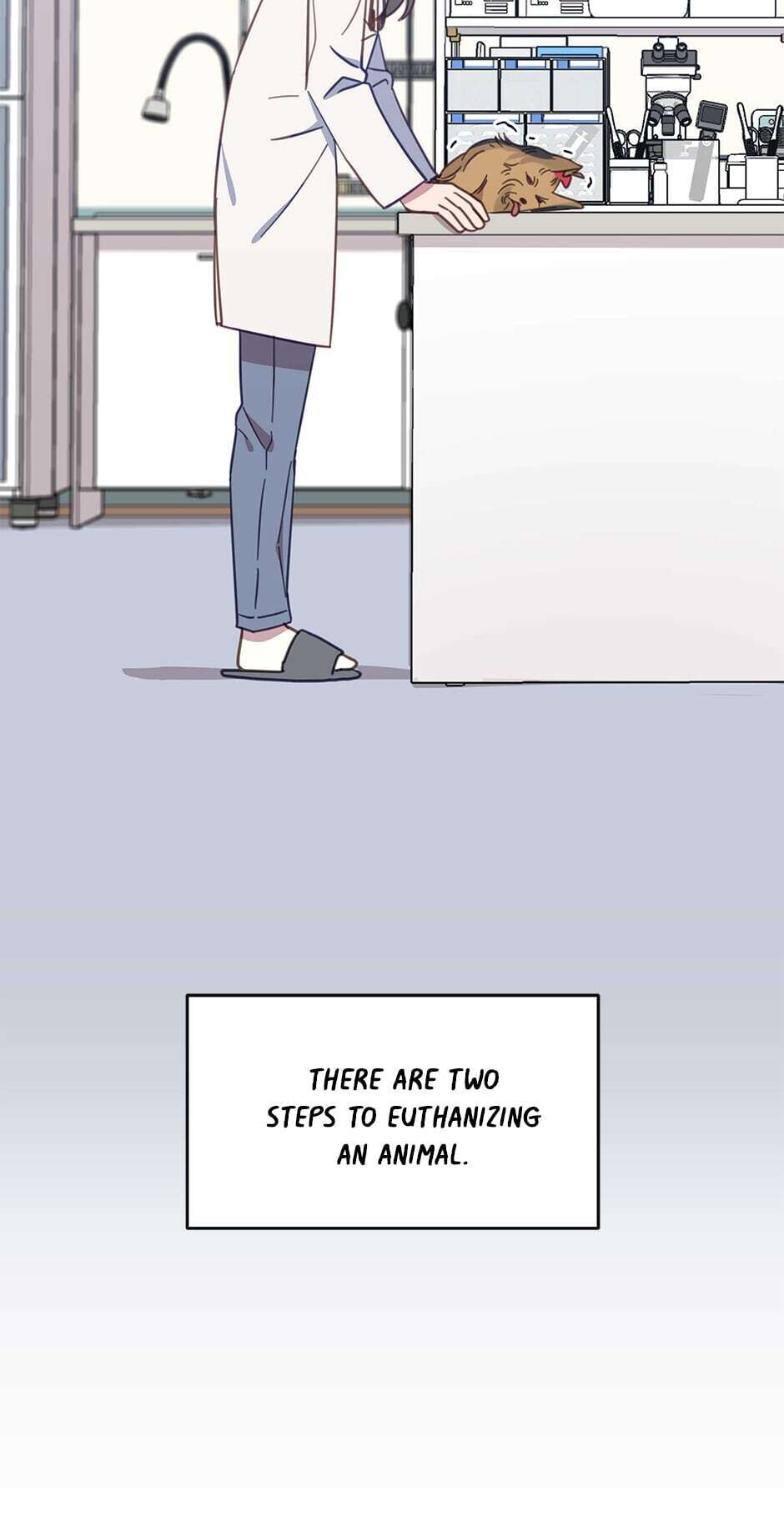 An animal hospital in the border area chapter 21 - page 19