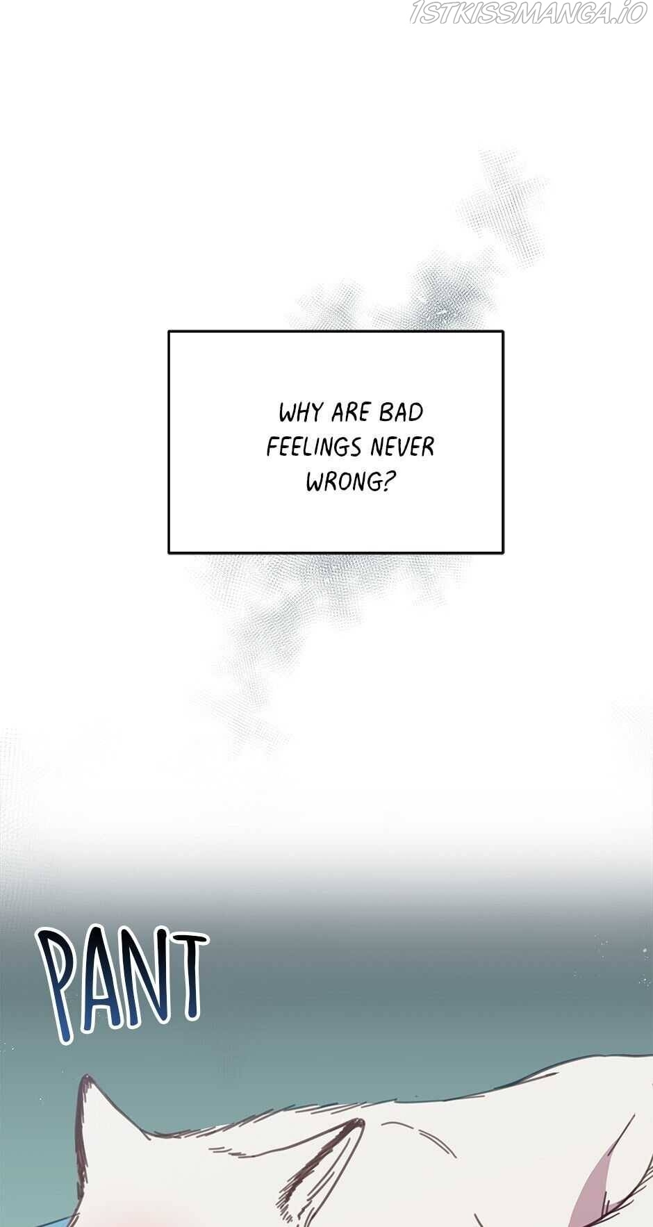 An animal hospital in the border area chapter 25 - page 1