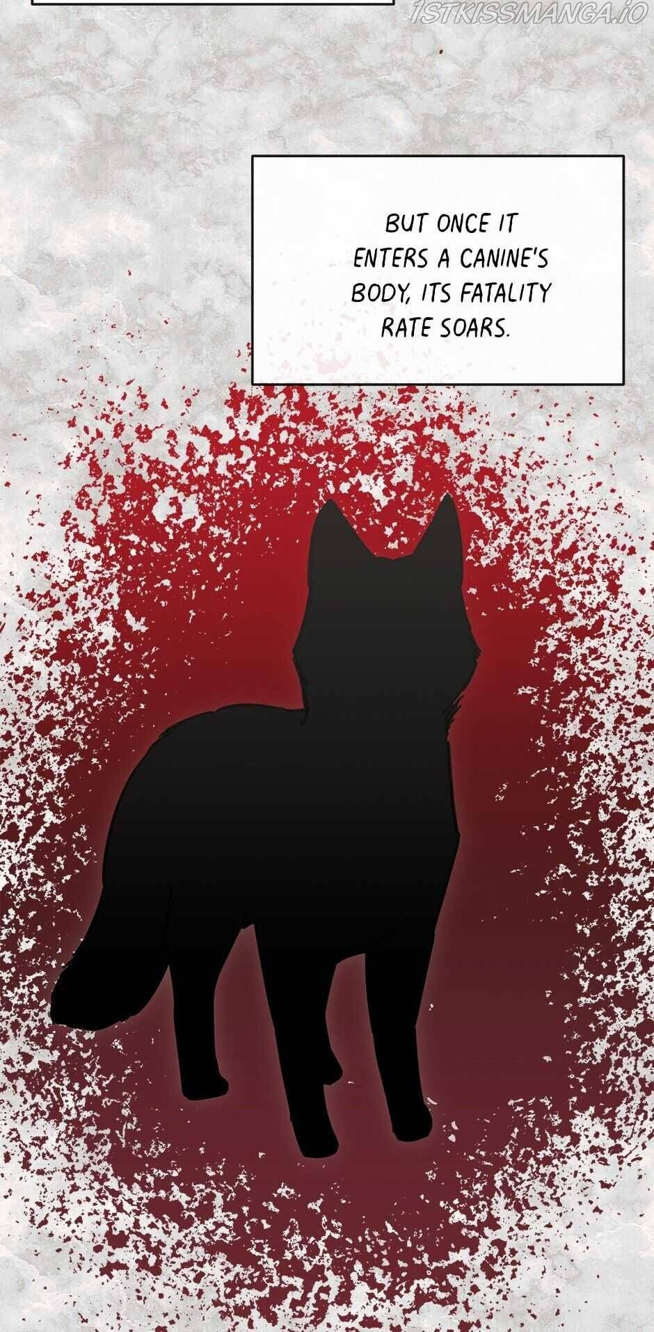 An animal hospital in the border area chapter 25 - page 18