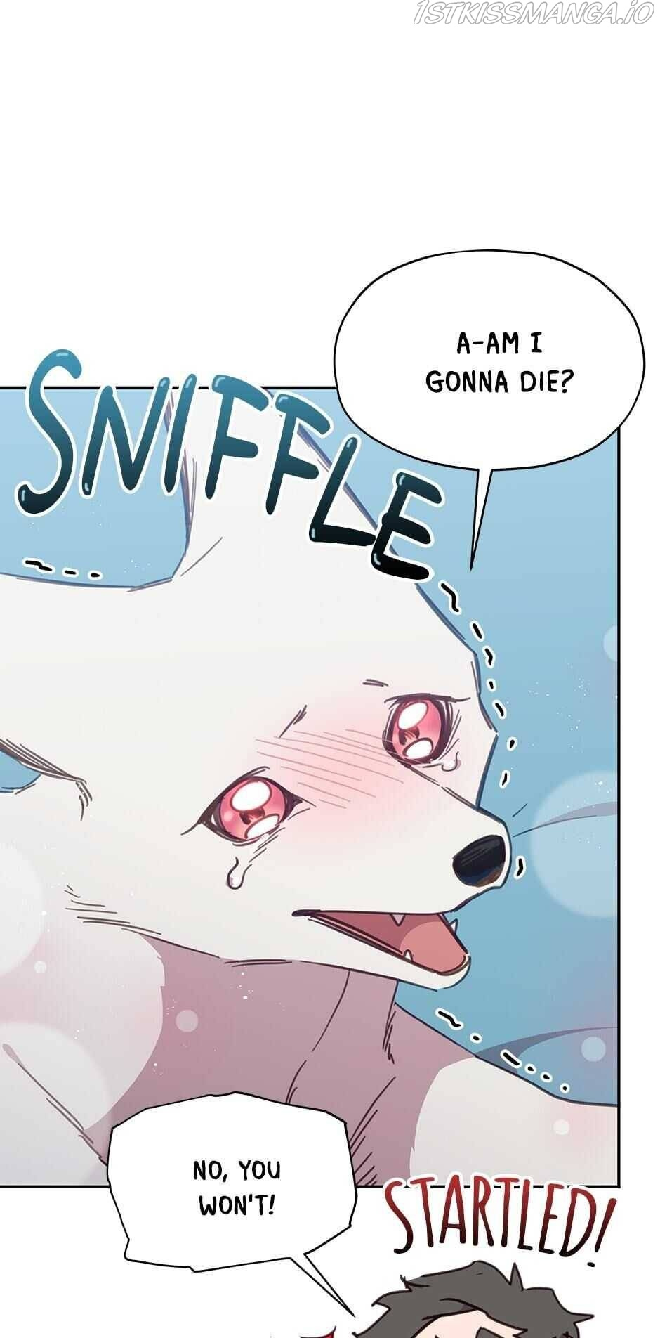 An animal hospital in the border area chapter 25 - page 31