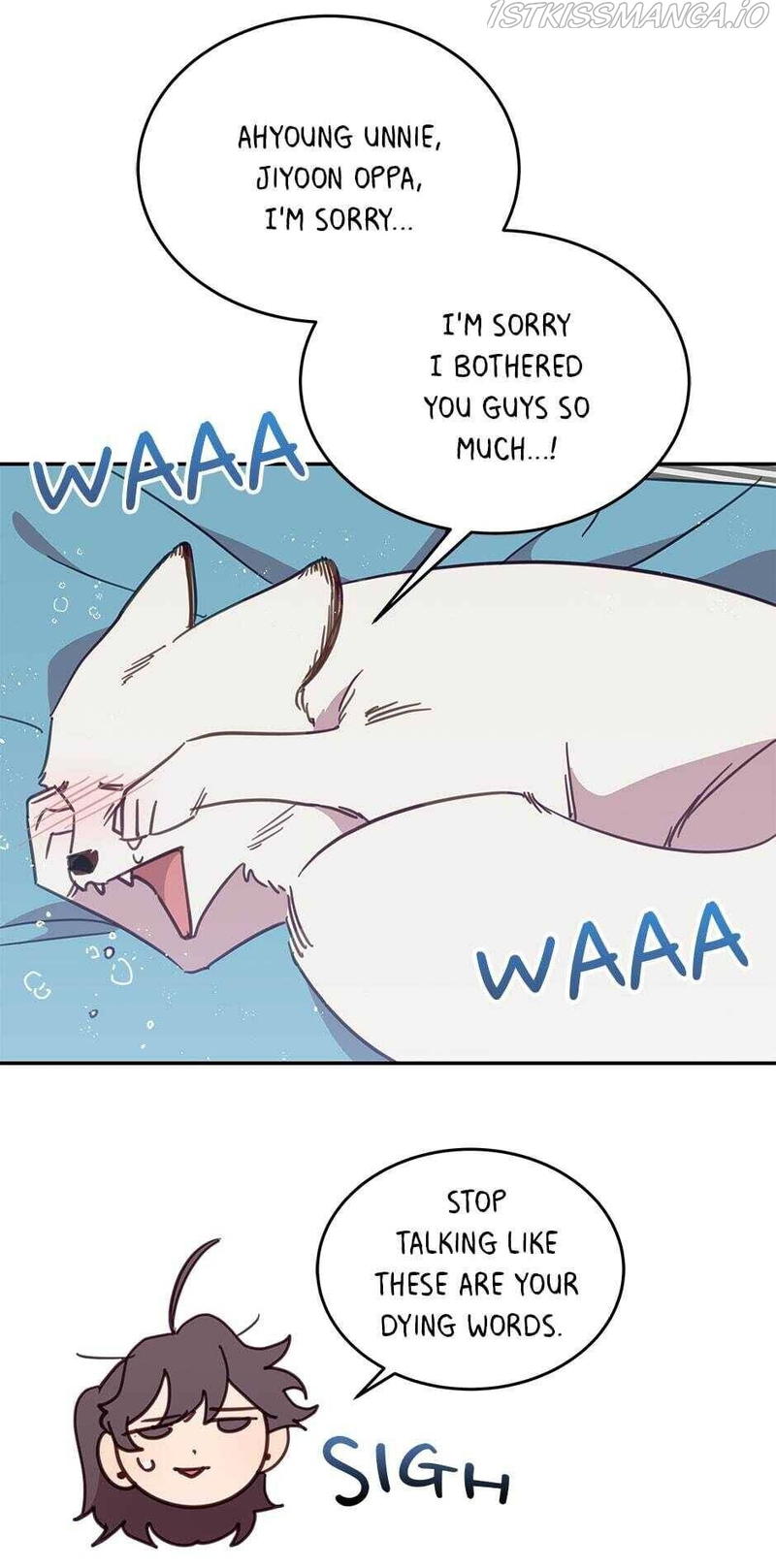 An animal hospital in the border area chapter 25 - page 35