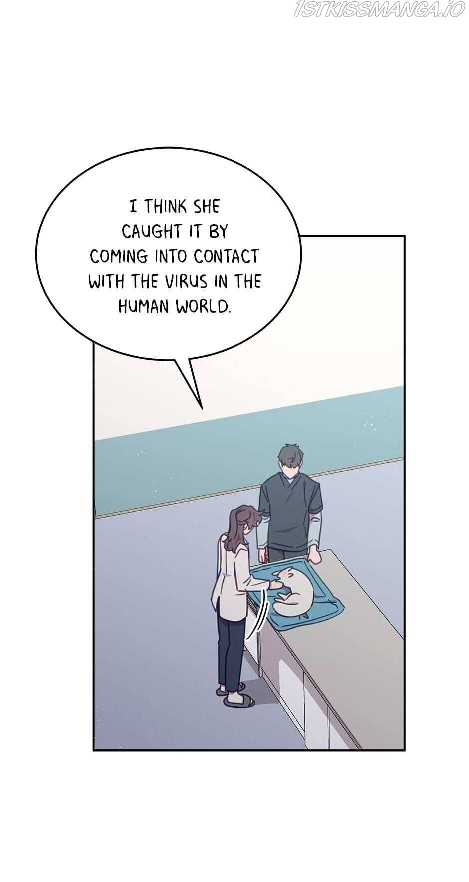 An animal hospital in the border area chapter 25 - page 4