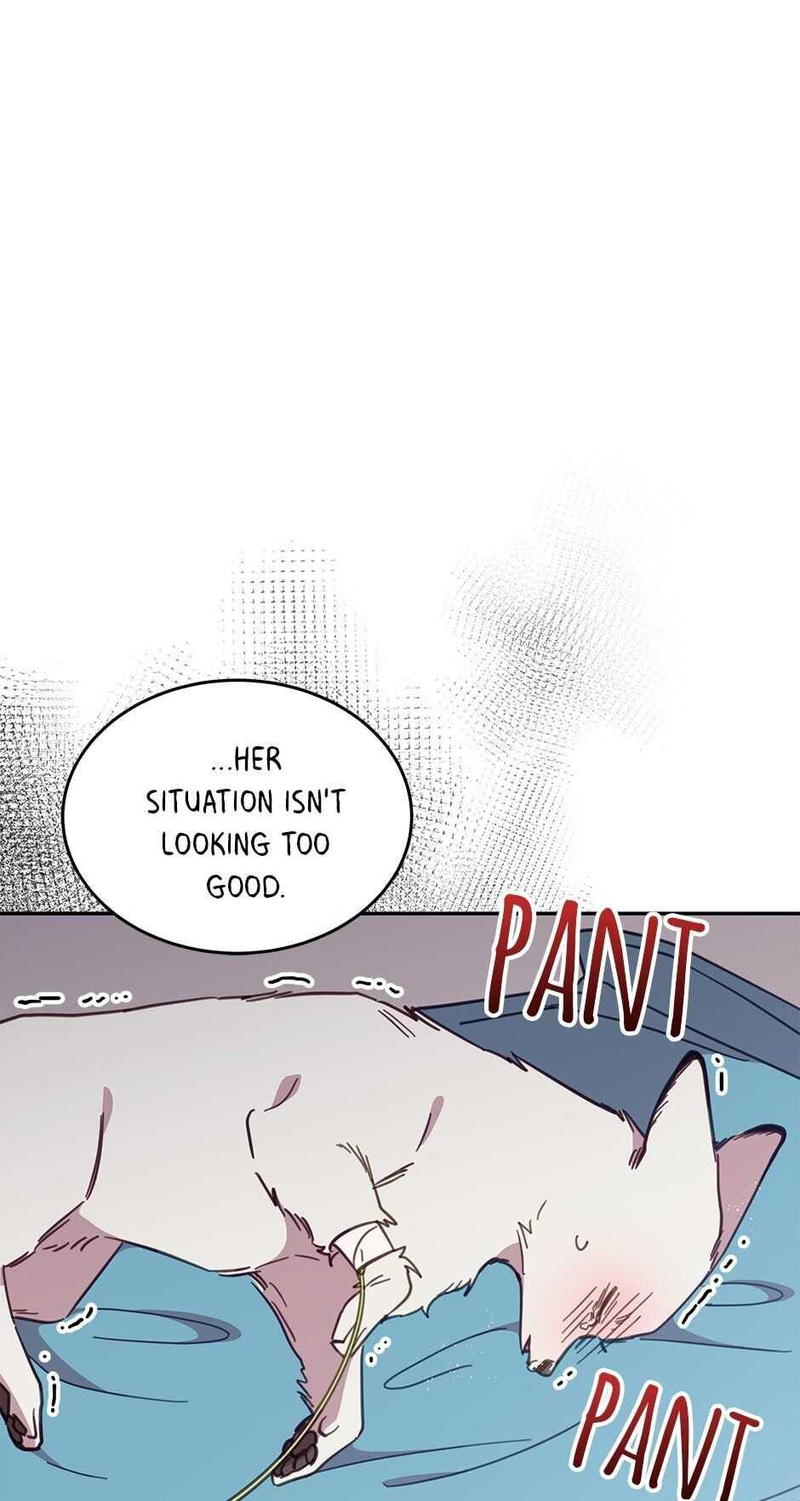 An animal hospital in the border area chapter 27 - page 21