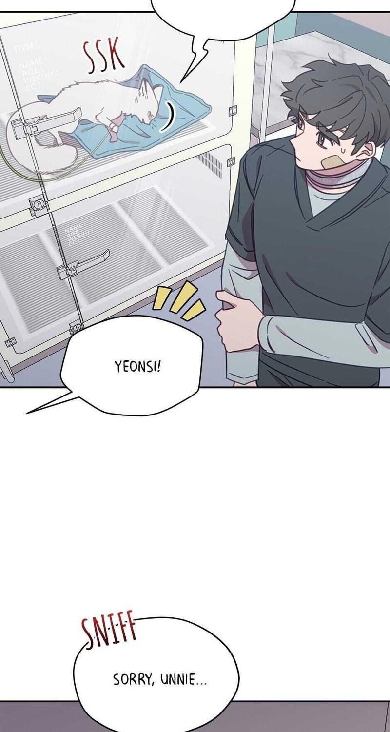 An animal hospital in the border area chapter 27 - page 27