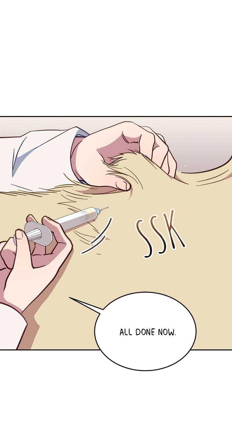 An animal hospital in the border area chapter 27 - page 35