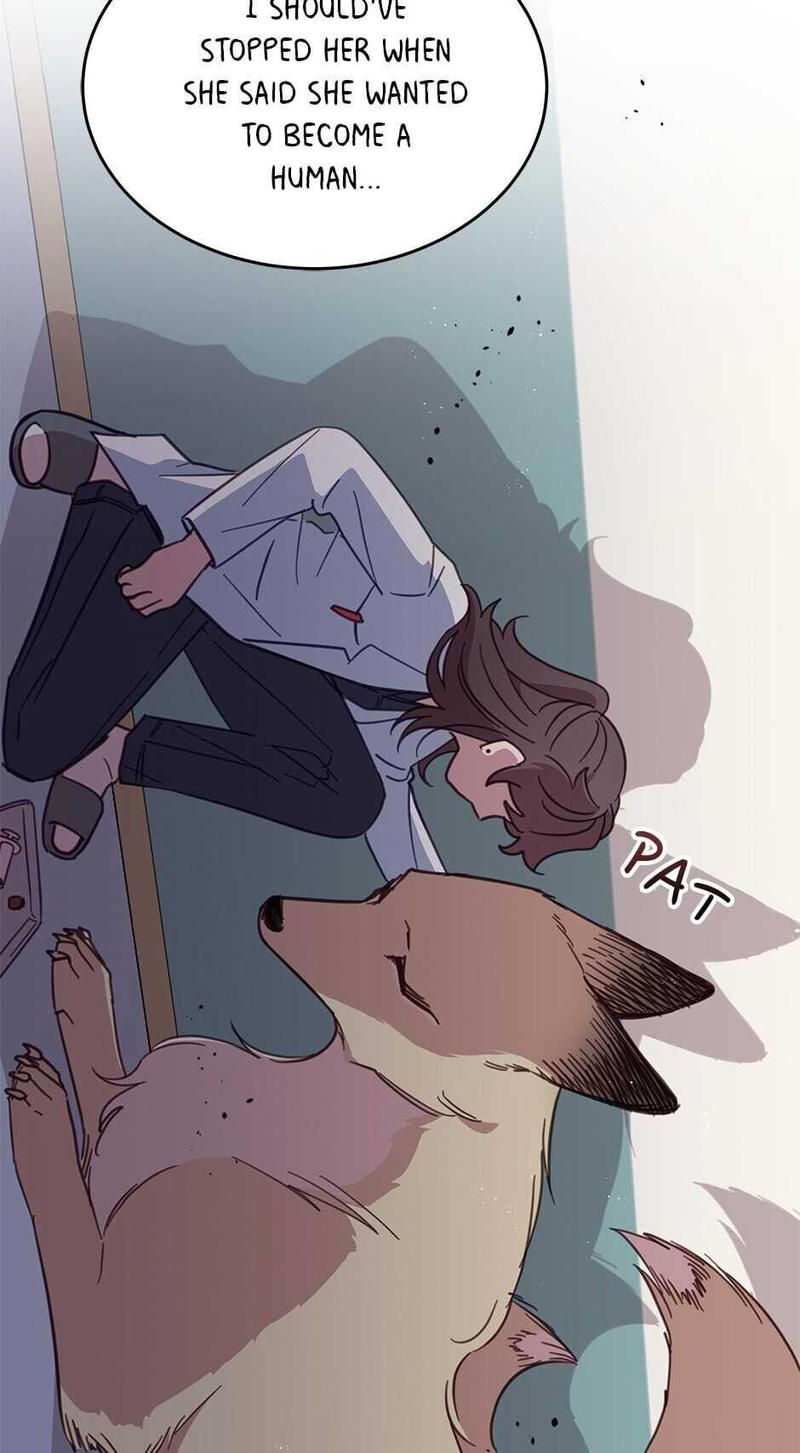 An animal hospital in the border area chapter 27 - page 38