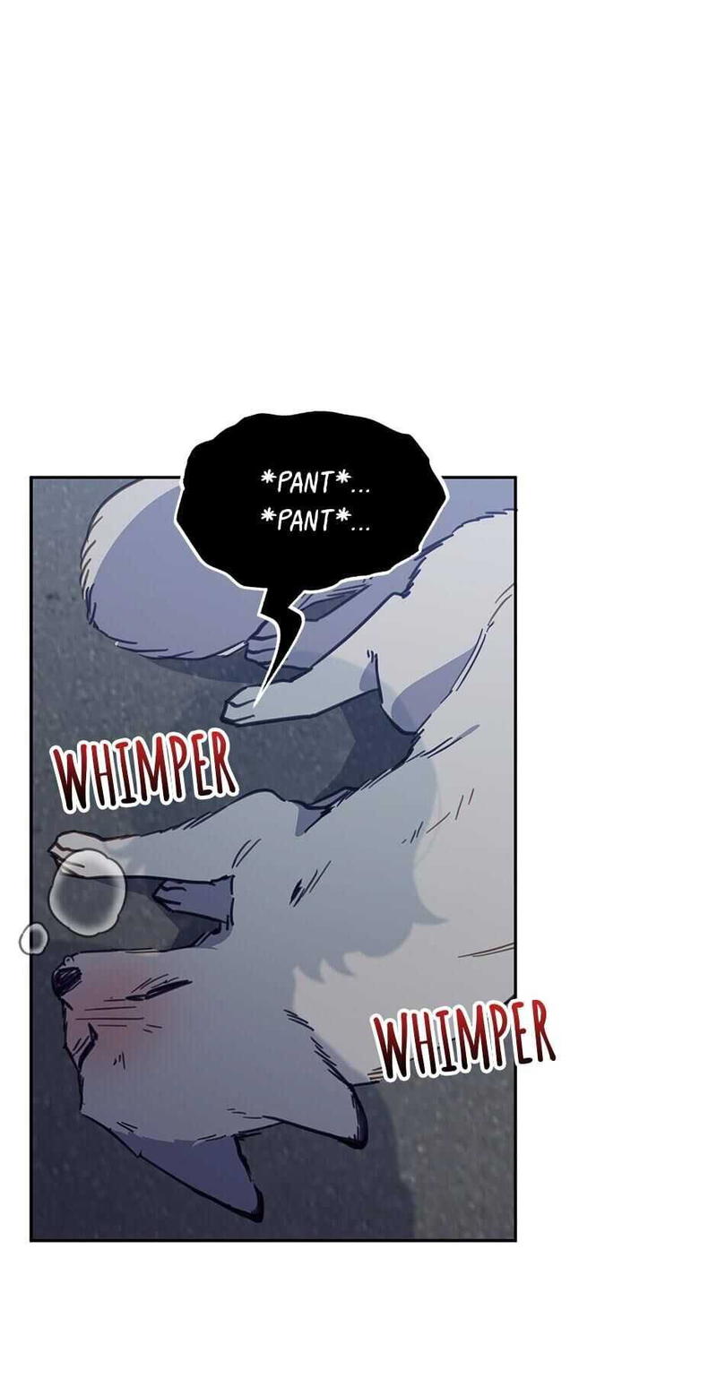 An animal hospital in the border area chapter 27 - page 9