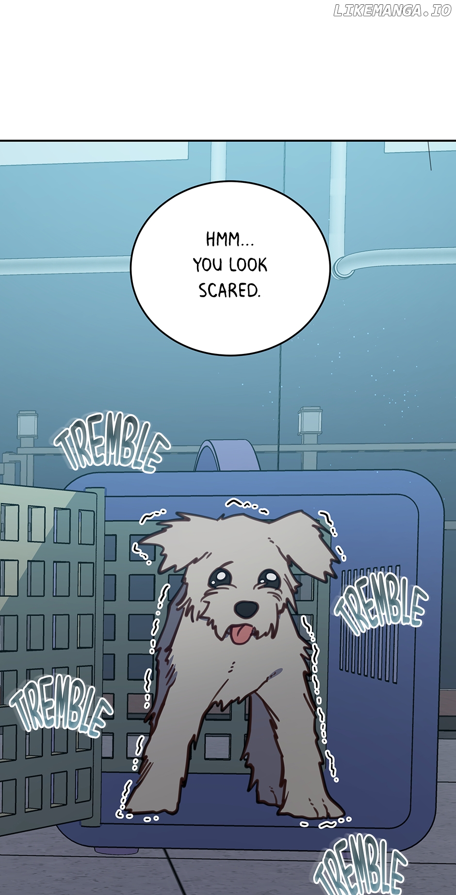 An animal hospital in the border area Chapter 105 - page 48