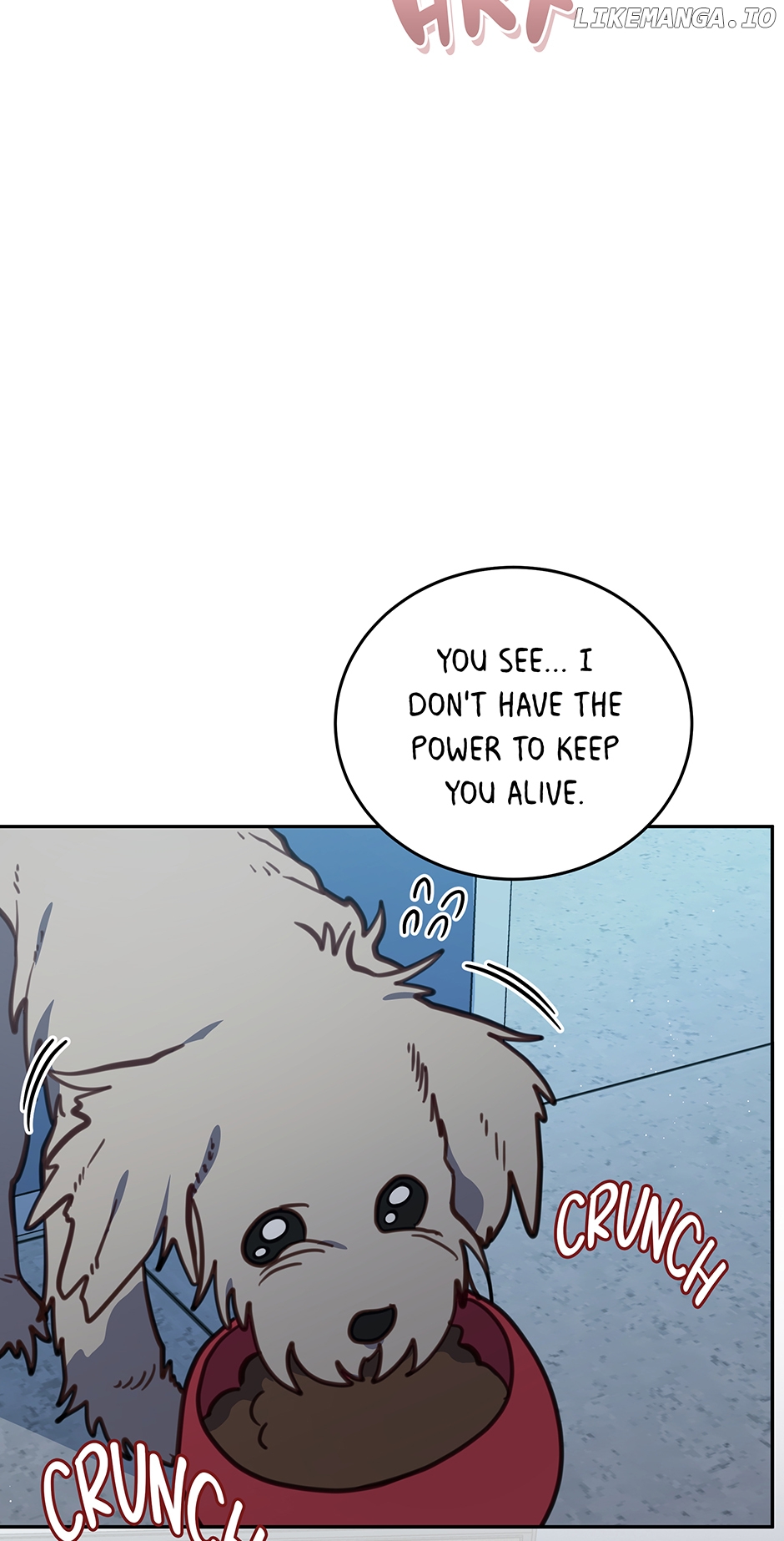 An animal hospital in the border area Chapter 105 - page 52