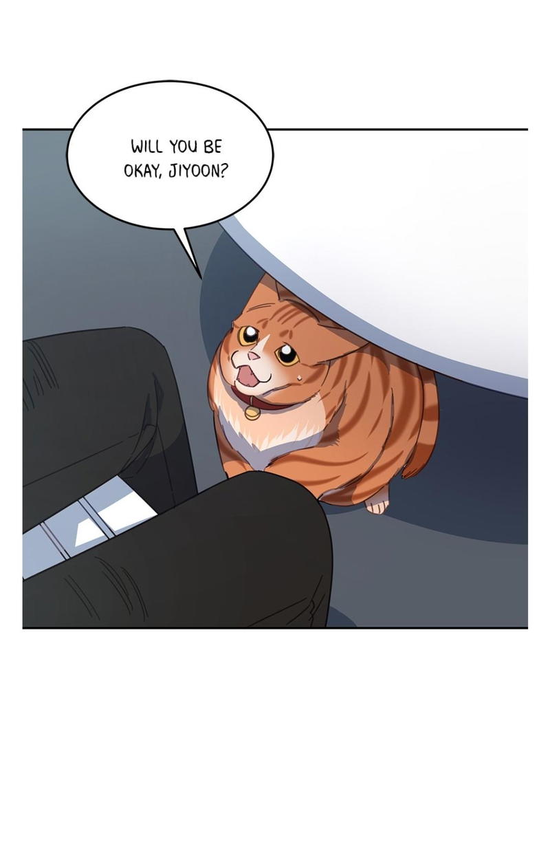An animal hospital in the border area chapter 9 - page 44