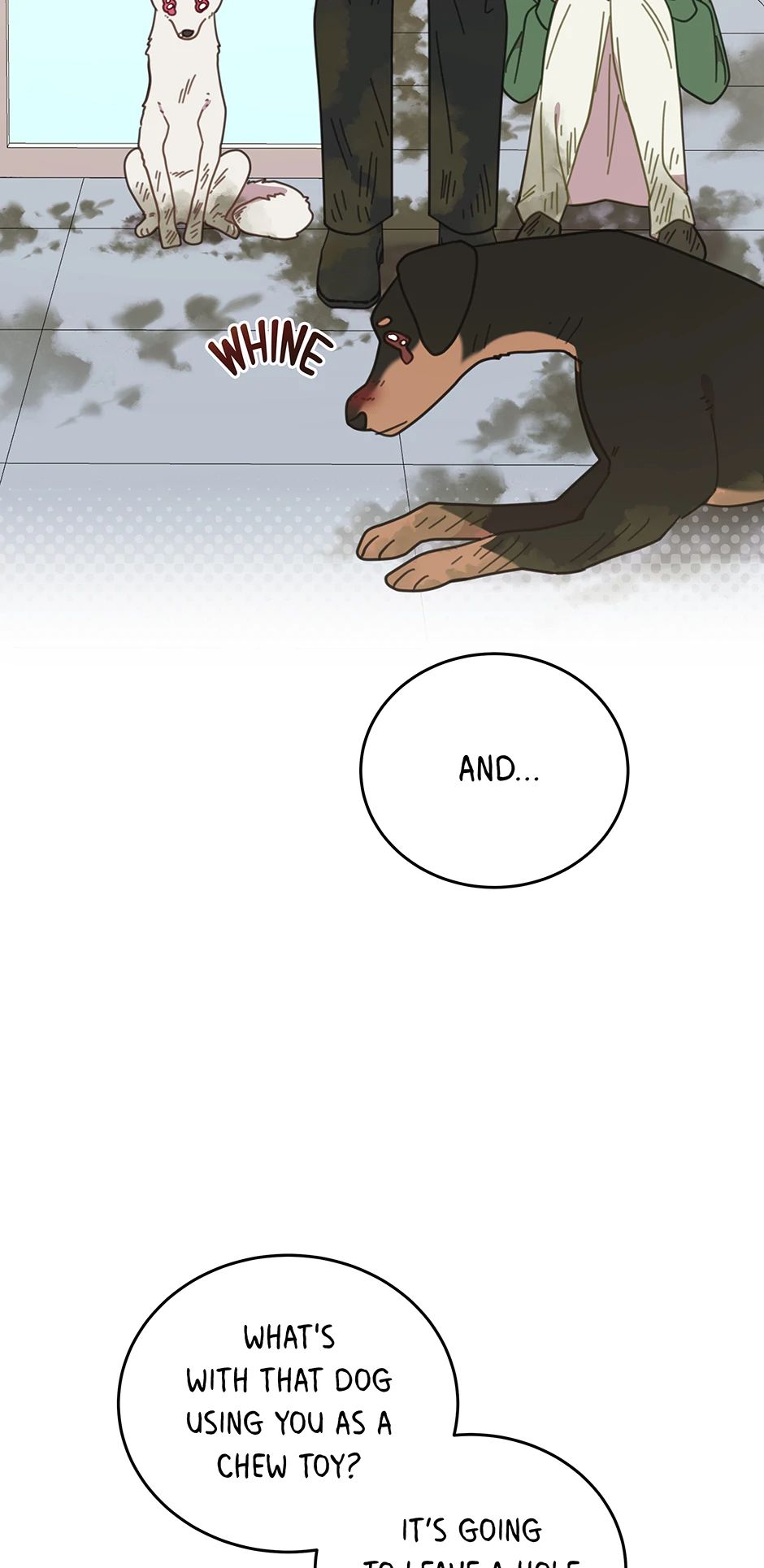 An animal hospital in the border area Chapter 115 - page 64