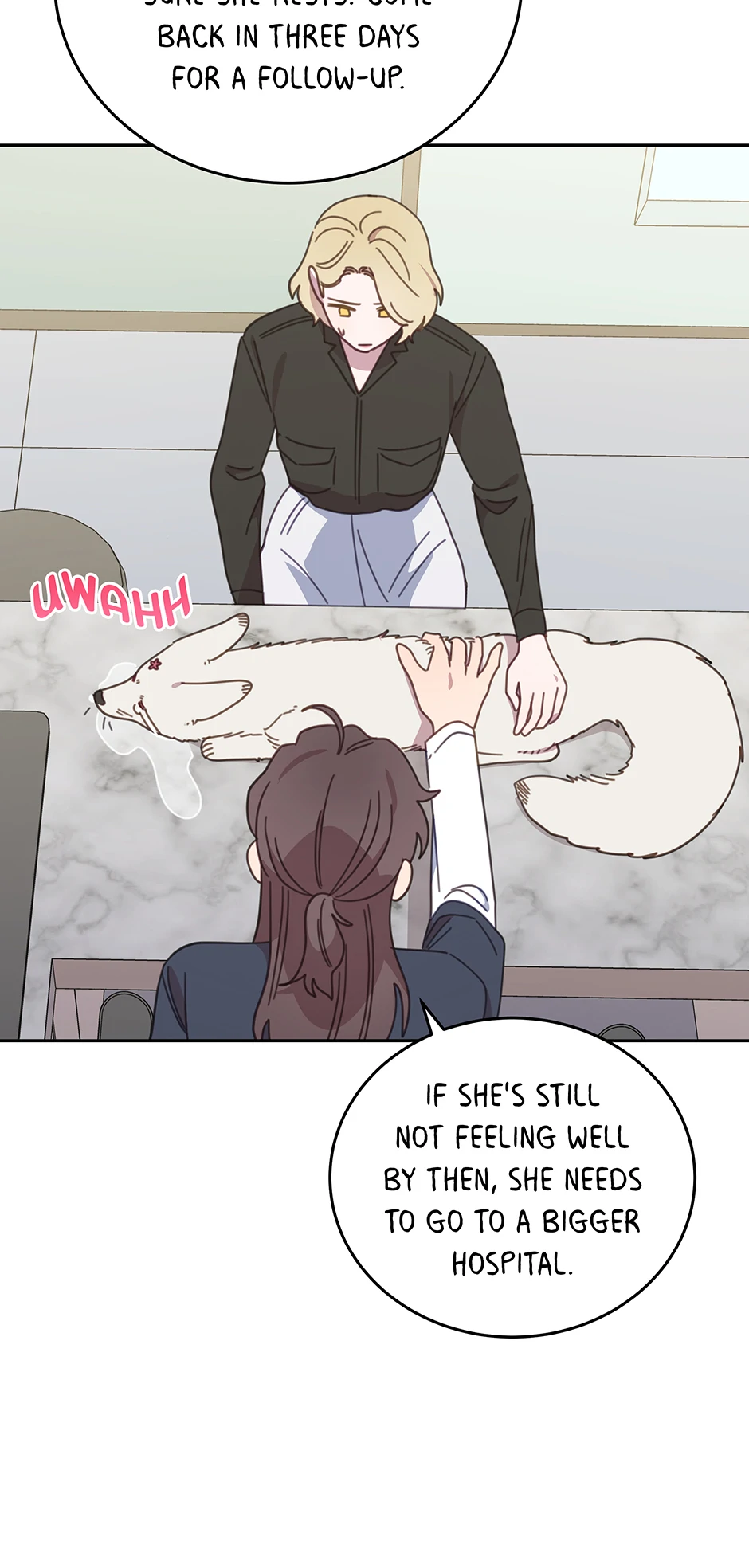 An animal hospital in the border area Chapter 116 - page 25