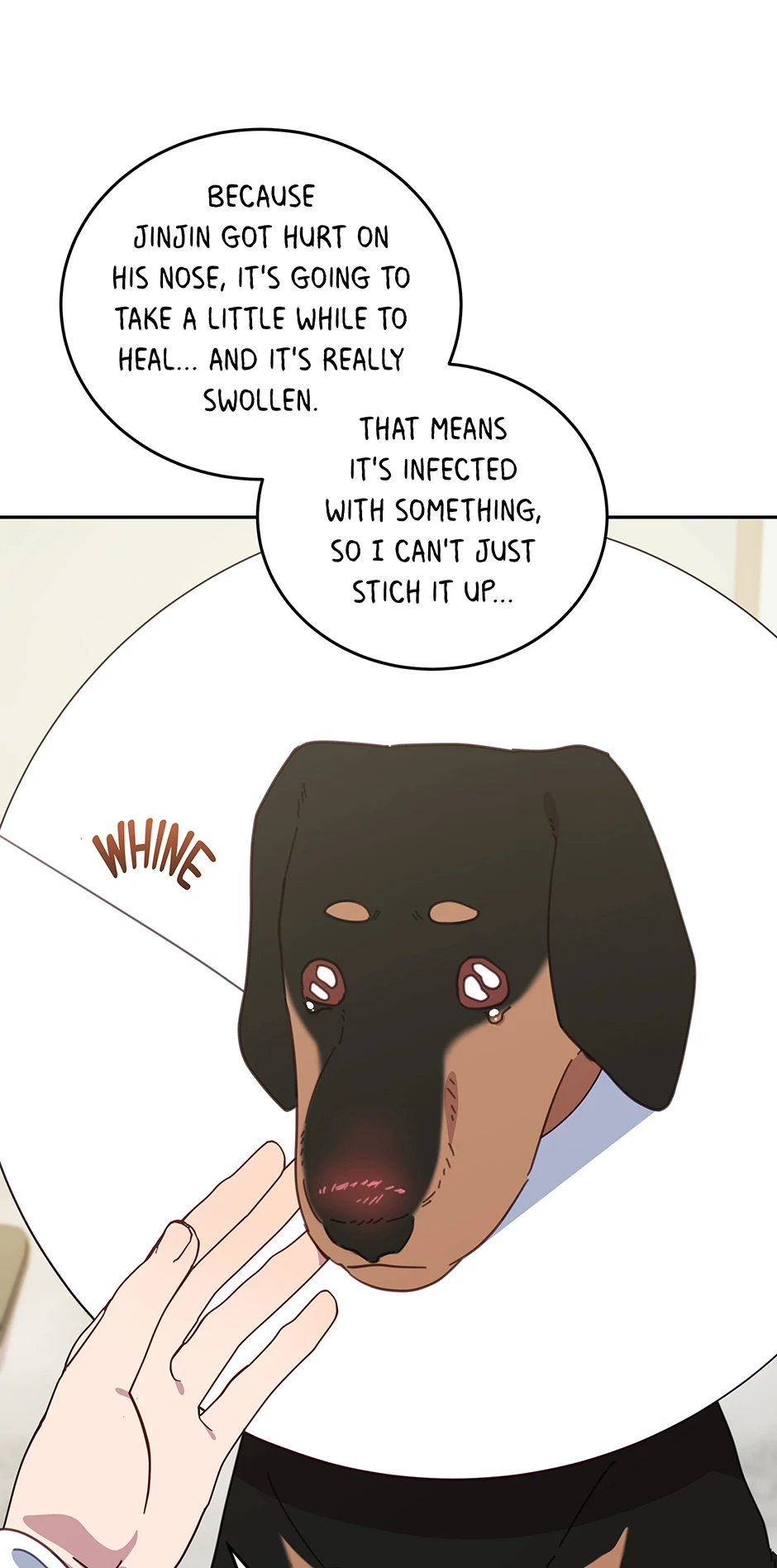 An animal hospital in the border area Chapter 116 - page 31
