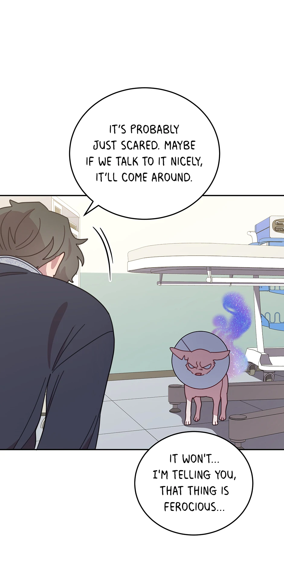 An animal hospital in the border area Chapter 116 - page 47