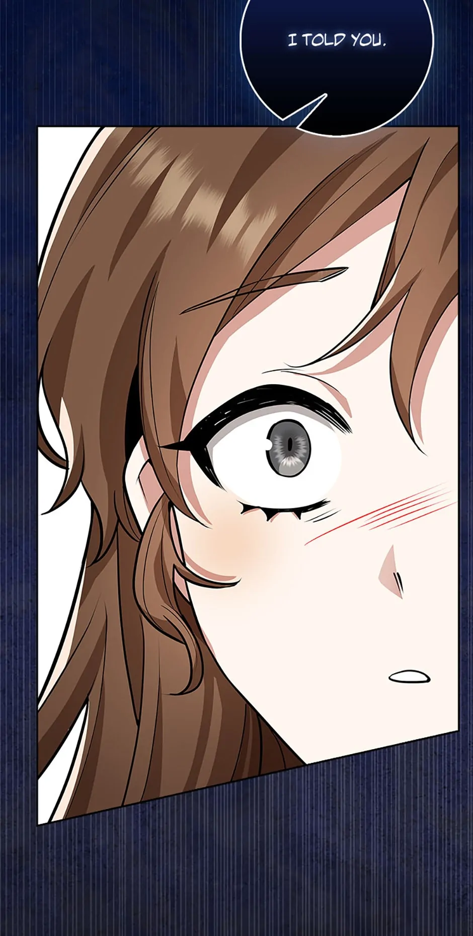 The Dungeon's Dying S-Class Lady Chapter 15 - page 77