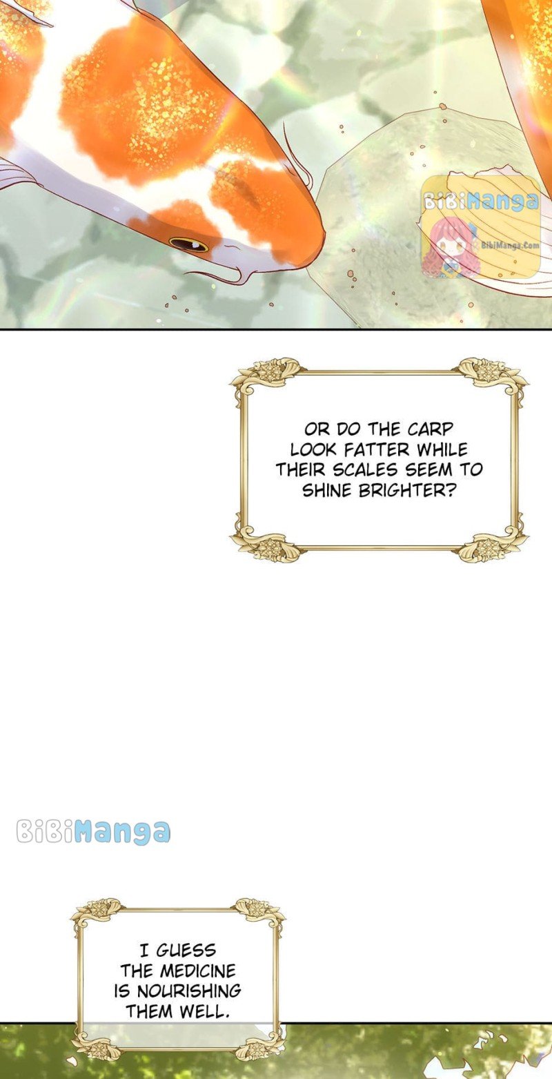 Surviving As A Maid Chapter 73 - page 47