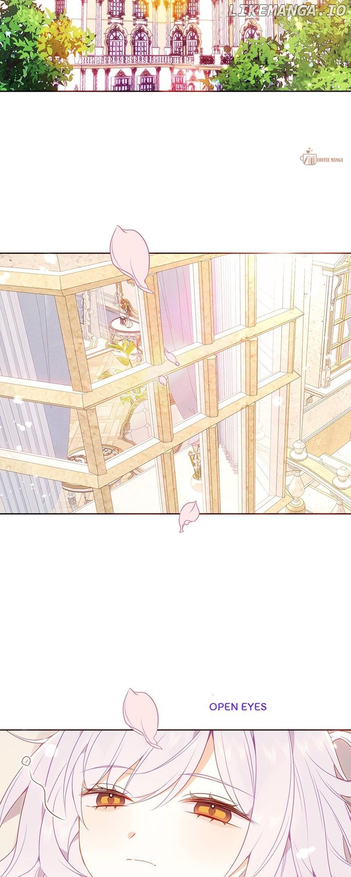The Script Shop of Dream Chapter 40 - page 13
