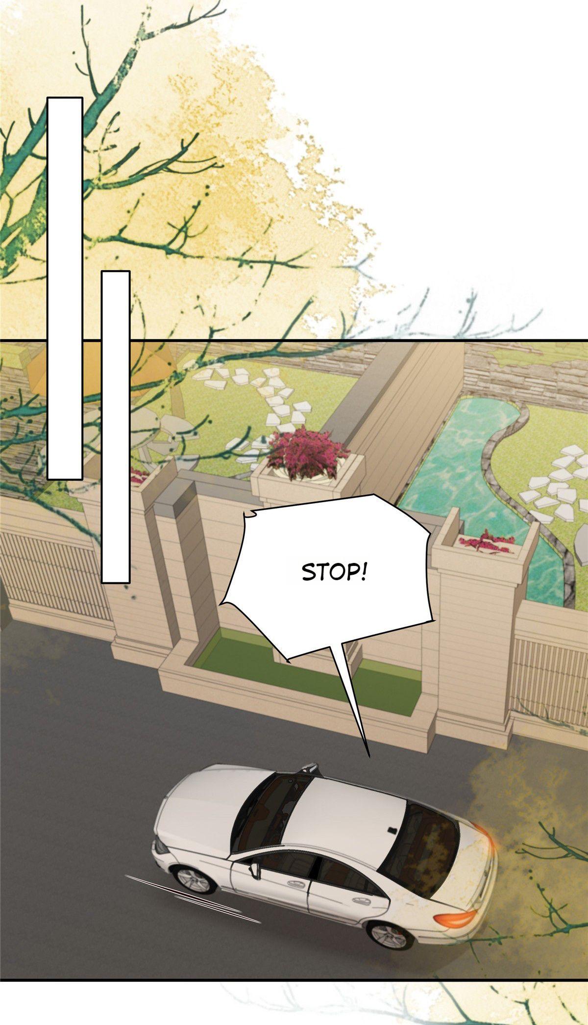 Rebirth Meeting: For You and My Exclusive Lovers chapter 243 - page 4