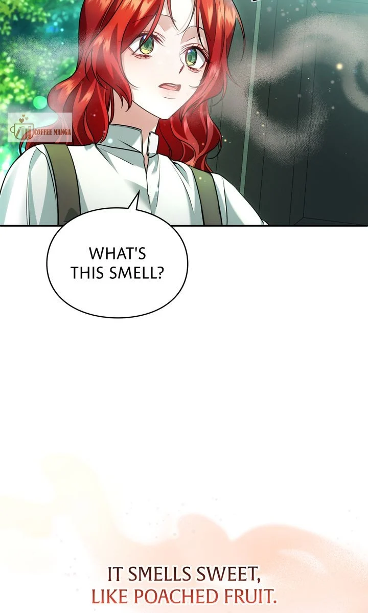 The Fairy Legacy Chapter 30 - page 29