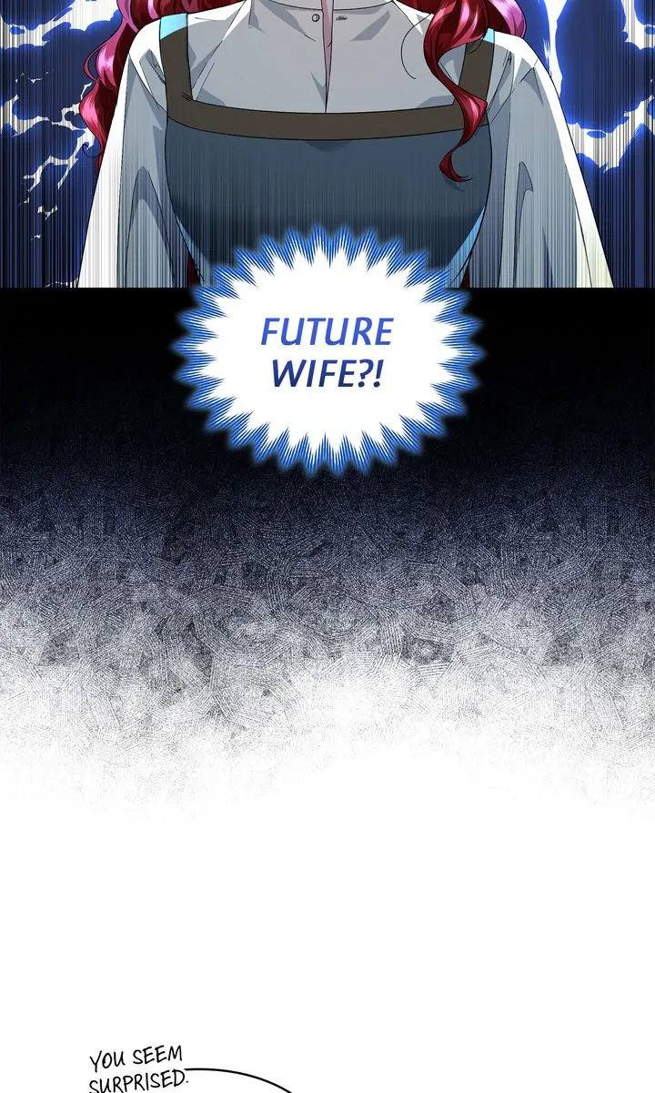 The Fairy Legacy Chapter 7 - page 23