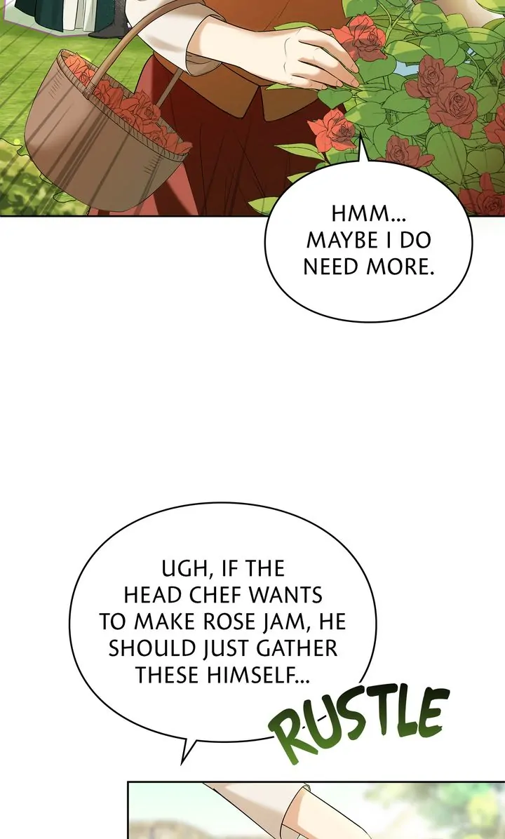 The Fairy Legacy Chapter 12 - page 62