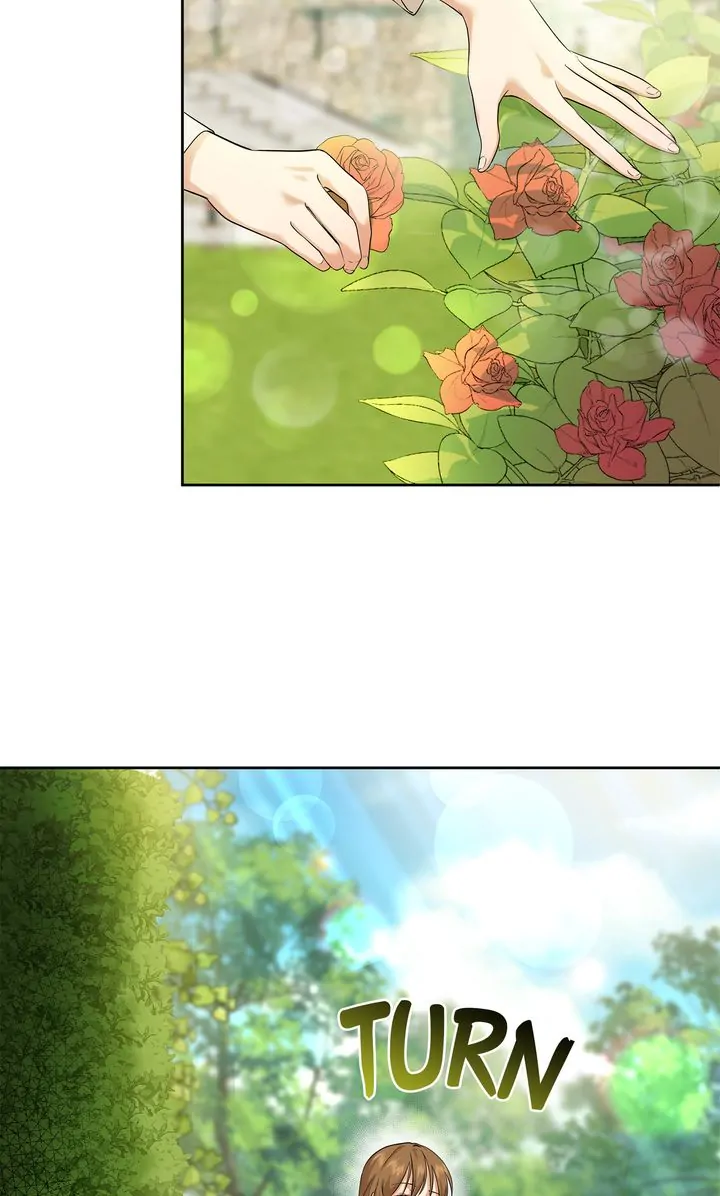 The Fairy Legacy Chapter 12 - page 63