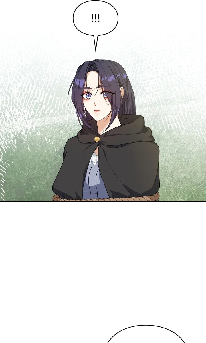 The Fairy Legacy Chapter 72 - page 25