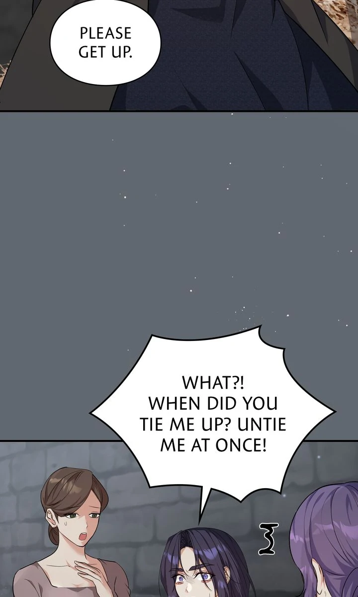 The Fairy Legacy Chapter 72 - page 3