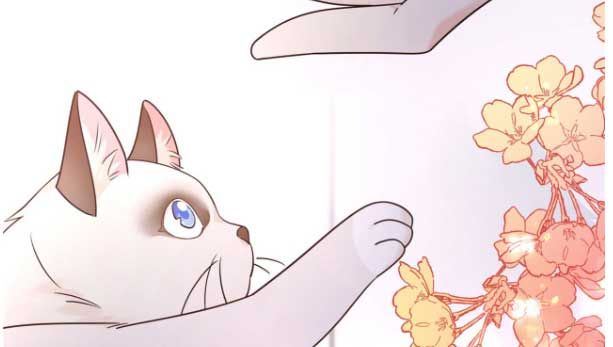 National School Prince Is A Girl chapter 296 - page 33