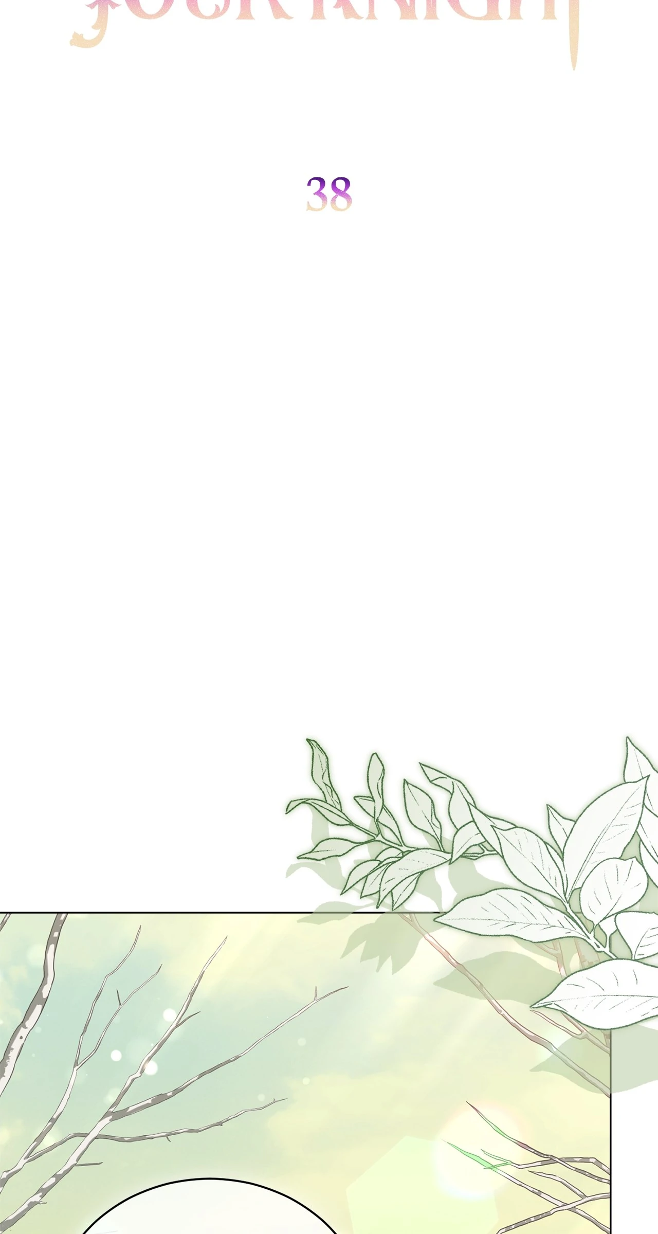 How to Choose Your Knight Chapter 38 - page 44