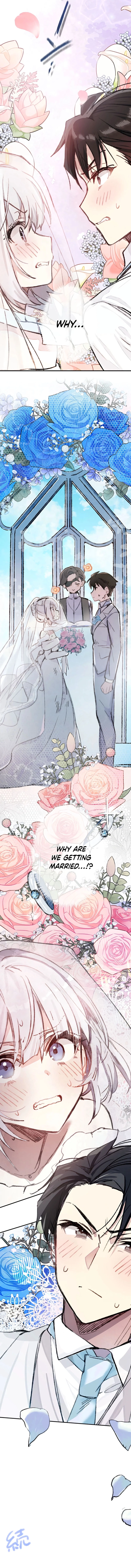 Marriage mission we dont get along but we got married for the mission Chapter 1 - page 8