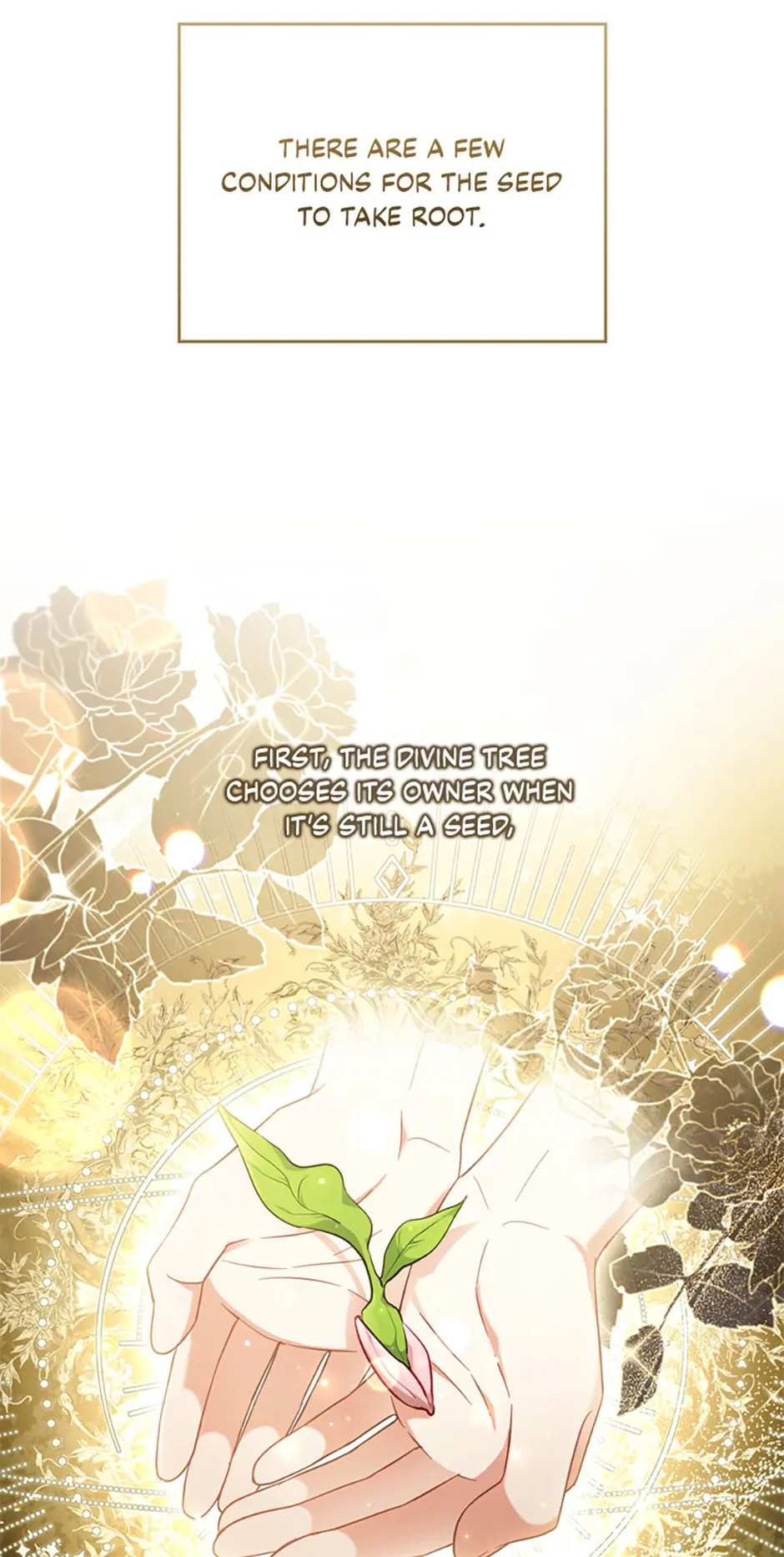 You've Got the Wrong Girl Chapter 80 - page 24