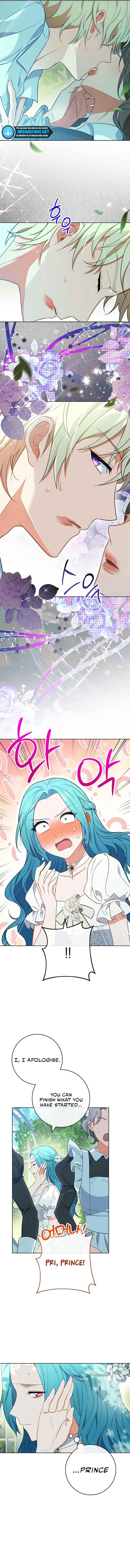 Royal Shop of Young Lady chapter 88 - page 4